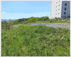  2025Ÿ��20332 �泲 ����� ������ ���긮 529-65      ����(�Ӿ�)���