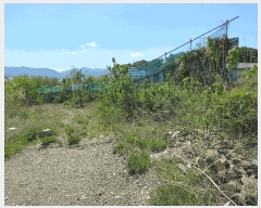  2025Ÿ��20332 �泲 ����� ������ ���긮 529-65      ����(�Ӿ�)���