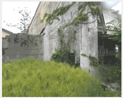  2025Ÿ��20339  ������