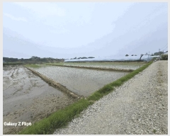  2025Ÿ��20356 �泲 ����� ������ õ���� 499-7      ����(��)���