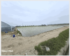  2025Ÿ��20356 �泲 ����� ������ õ���� 499-7      ����(��)���