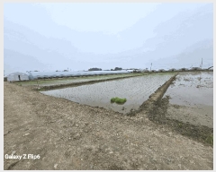  2025Ÿ��20356 �泲 ����� ������ õ���� 499-7      ����(��)���