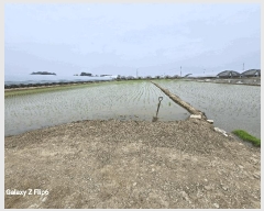  2025Ÿ��20356 �泲 ����� ������ õ���� 499-7      ����(��)���