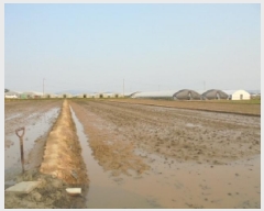  2025Ÿ��20356 �泲 ����� ������ õ���� 499-7      ����(��)���