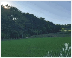  2025Ÿ��20365  �Ӿ߰��