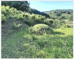  2025Ÿ��20365  �Ӿ߰��