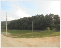  2025Ÿ��20365  �Ӿ߰��