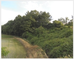  2025Ÿ��20365  �Ӿ߰��