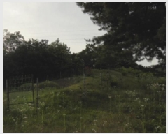  2025Ÿ��20365  �Ӿ߰��