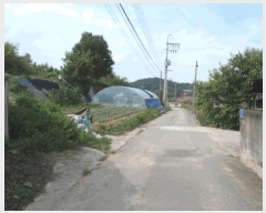  2025Ÿ��20372 �泲 ����� ������ �ù��� 155-2      ����(��1)���