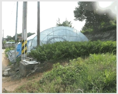  2025Ÿ��20372 �泲 ����� ������ �ù��� 155-2      ����(��1)���