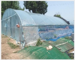  2025Ÿ��20372 �泲 ����� ������ �ù��� 155-2      ����(��1)���