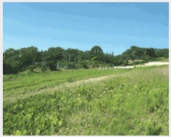  2025Ÿ��20377 �泲 ����� ������ �ù��� 222-8      ����(��)���