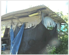  2025Ÿ��20377 �泲 ����� ������ �ù��� 222-8      ����(��)���