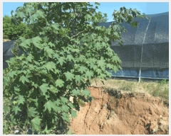  2025Ÿ��20377 �泲 ����� ������ �ù��� 222-8      ����(��)���