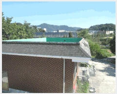  2025Ÿ��20377 �泲 ����� ������ �ù��� 222-8      ����(��)���