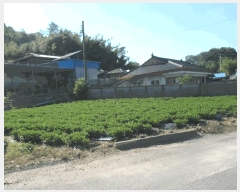  2025Ÿ��20377 �泲 ����� ������ �ù��� 222-8      ����(��)���