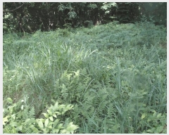  2025Ÿ��20397 �泲 �ο��� �ܻ�� ���긮 ��6-5      ����(�Ӿ�)���