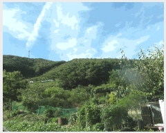  2025Ÿ��20397 �泲 �ο��� �ܻ�� ���긮 ��6-5      ����(�Ӿ�)���