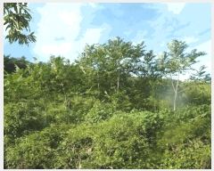  2025Ÿ��20397 �泲 �ο��� �ܻ�� ���긮 ��6-5      ����(�Ӿ�)���