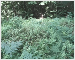  2025Ÿ��20397 �泲 �ο��� �ܻ�� ���긮 ��6-5      ����(�Ӿ�)���