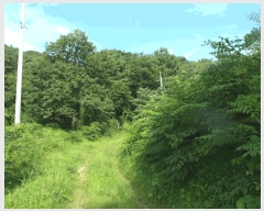  2025Ÿ��20397 �泲 �ο��� �ܻ�� ���긮 ��6-5      ����(�Ӿ�)���