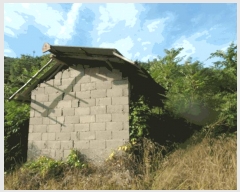  2025Ÿ��20397 �泲 �ο��� �ܻ�� ���긮 ��6-5      ����(�Ӿ�)���