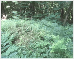  2025Ÿ��20397 �泲 �ο��� �ܻ�� ���긮 ��6-5      ����(�Ӿ�)���