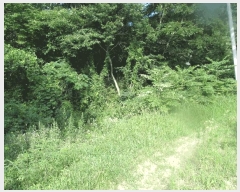  2025Ÿ��20397 �泲 �ο��� �ܻ�� ���긮 ��6-5      ����(�Ӿ�)���