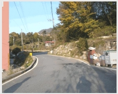  2025Ÿ��20536  ���ð��