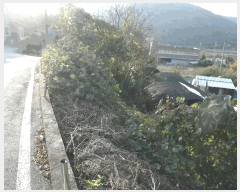  2025Ÿ��20536  ���ð��