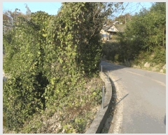  2025Ÿ��20536  ���ð��