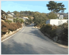  2025Ÿ��20536  ���ð��