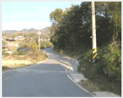  2025Ÿ��20536  ���ð��