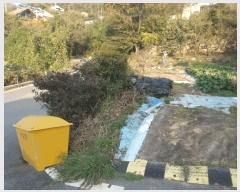  2025Ÿ��20536  ���ð��