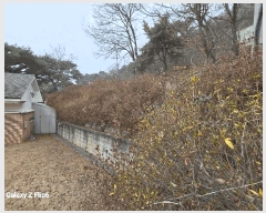  2025Ÿ��20582 �泲 ����� ����� �ž縮 1-7      ����(�Ӿ�)���