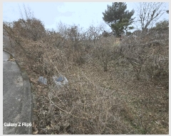  2025Ÿ��20582 �泲 ����� ����� �ž縮 1-7      ����(�Ӿ�)���