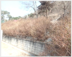  2025Ÿ��20582 �泲 ����� ����� �ž縮 1-7      ����(�Ӿ�)���