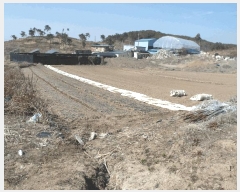  2025Ÿ��309 �泲 ����� ������ ��Ȳ�� 173-1      ����(����)���