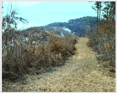  2025Ÿ316 泲 ο õ 縮 121      (Ӿ)