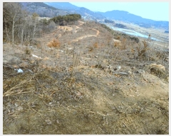  2025Ÿ316 泲 ο õ 縮 121      (Ӿ)