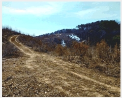  2025Ÿ316 泲 ο õ 縮 121      (Ӿ)