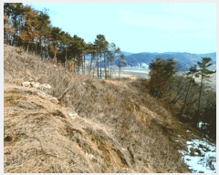  2025Ÿ316 泲 ο õ 縮 121      (Ӿ)