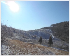  2025Ÿ316 泲 ο õ 縮 121      (Ӿ)