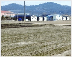  2025Ÿ��361  â�����