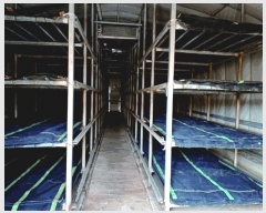  2025Ÿ��361  â�����