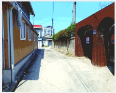  2025Ÿ397 泲 ο ο  294-1      ð