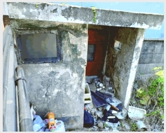  2025Ÿ397 泲 ο ο  294-1      ð