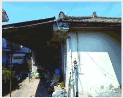  2025Ÿ397 泲 ο ο  294-1      ð