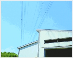  2025Ÿ409 泲  ̸ ݰ 399      (1)